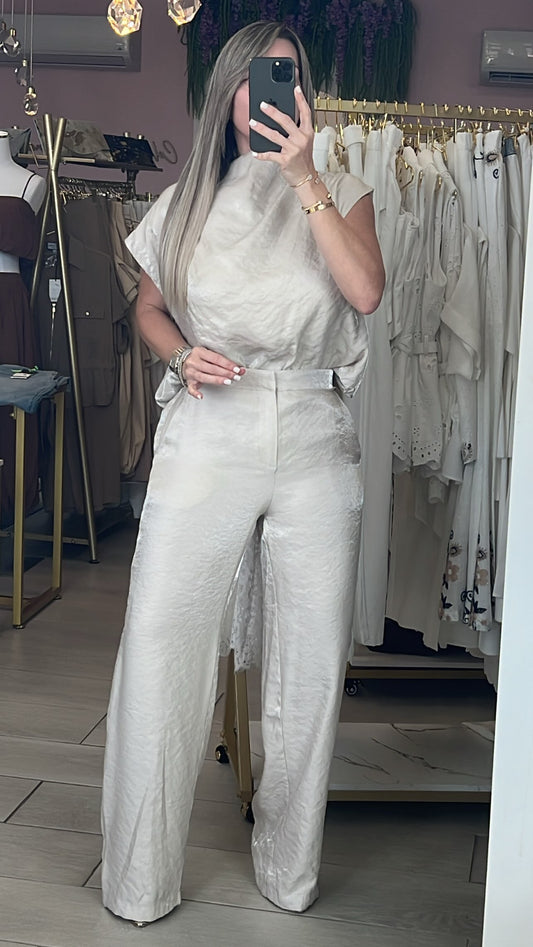 Champagne Metallic Turtleneck Blouse & Elegance Pant Set